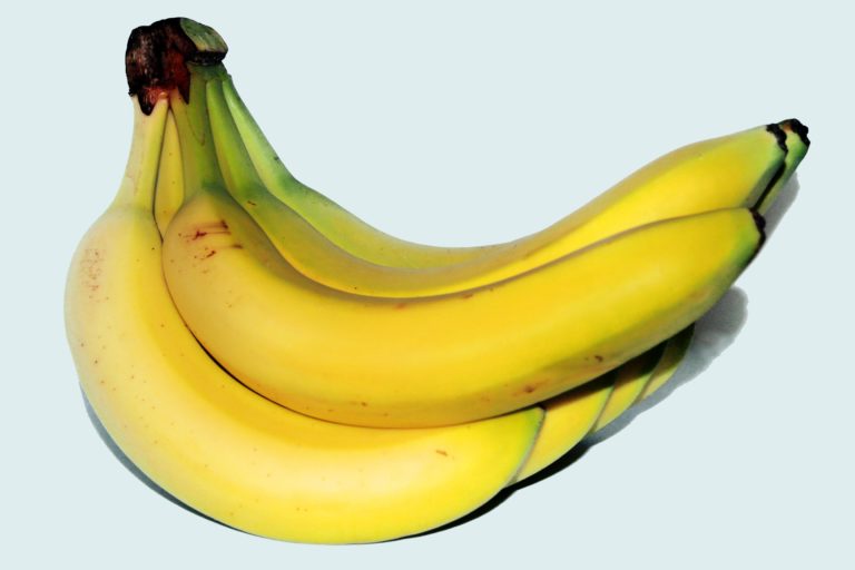 Natural Alternatives to Prednisone Gazette Review