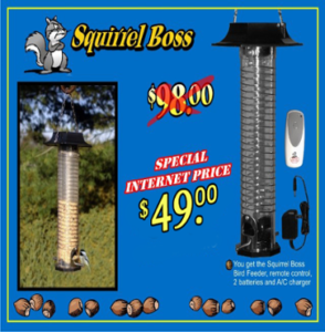 Squirrel Boss Update What Happened After Shark Tank Gazette Review