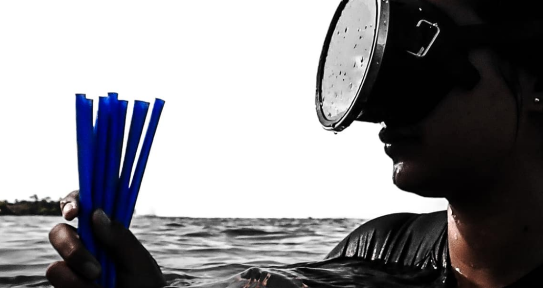 Loliware 2024 Update What Happened After Shark Tank Gazette Review