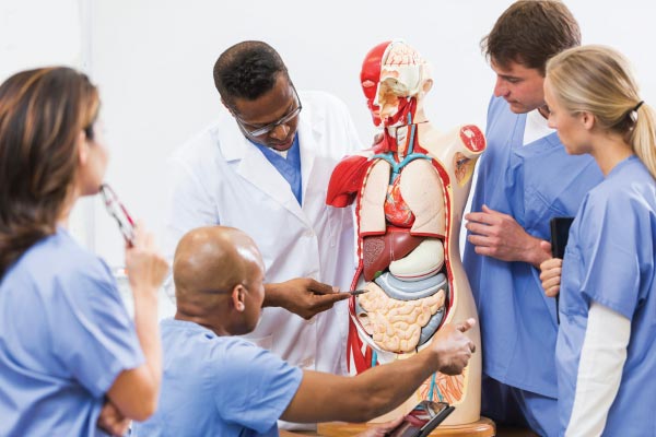 average-pediatrician-salary-2018-income-wages-earnings-gazette