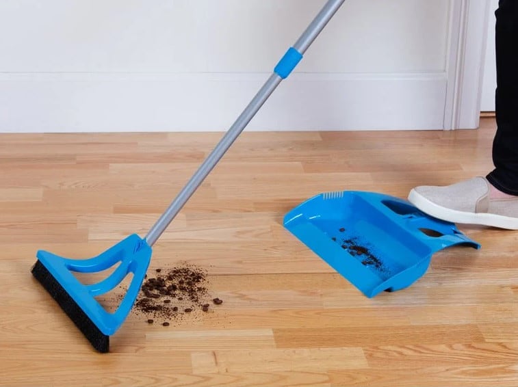 WISP Update 2024 What Happened After Shark Tank Gazette Review