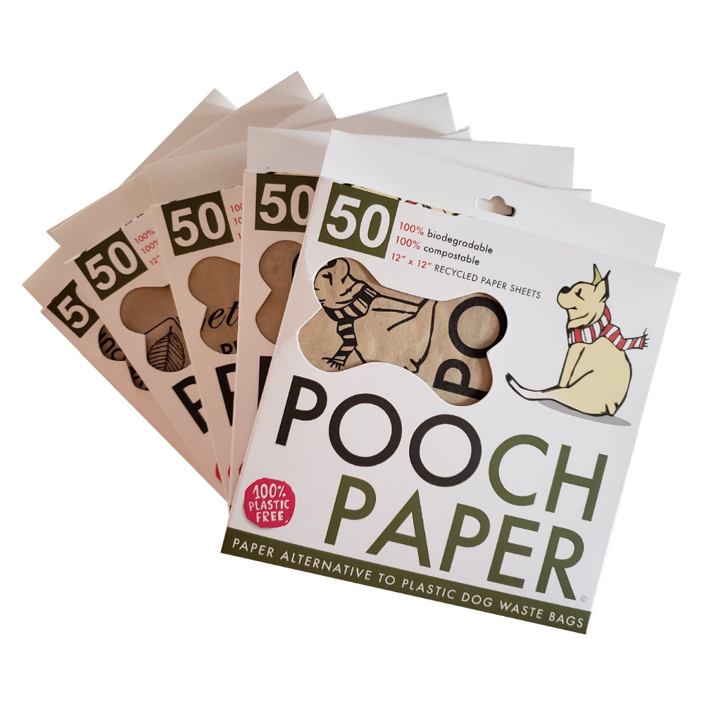 Pooch Paper After Shark Tank - 2023 Update - Vimarsana News
