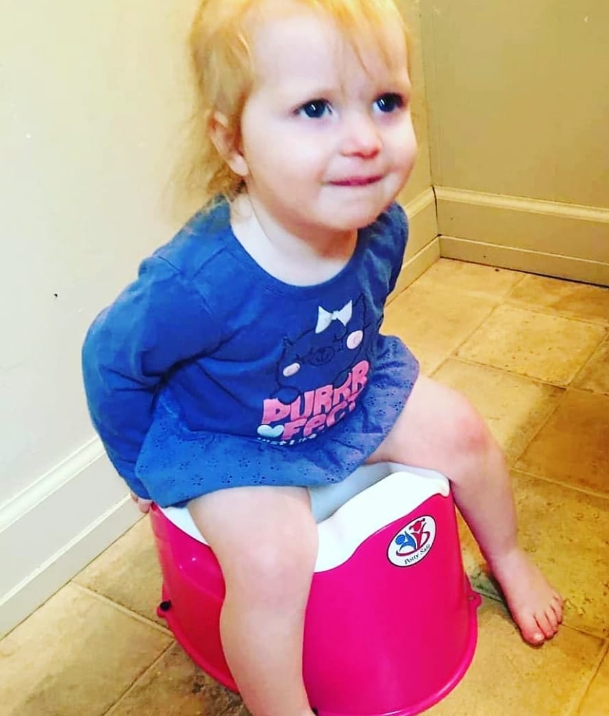 Potty Safe After Shark Tank 2024 Update Gazette Review