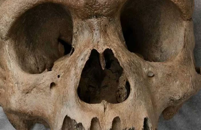 300,000-year-old Skull Found in China May be New Species of Human - Vimarsana News