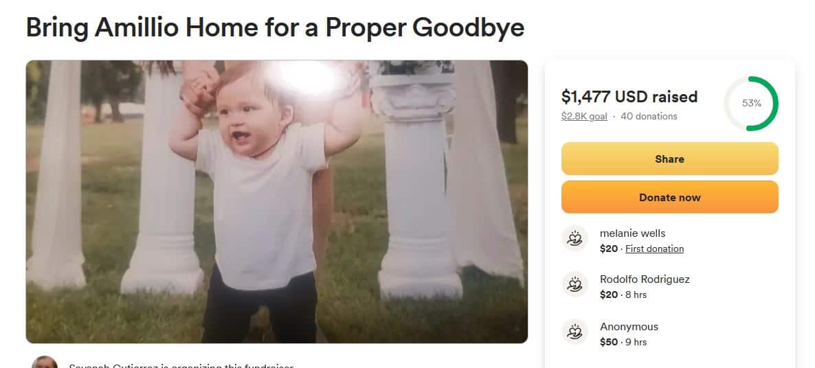 amillio gofundme