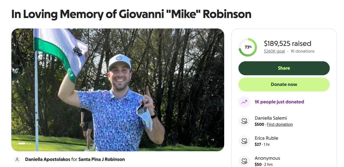robinson gofundme