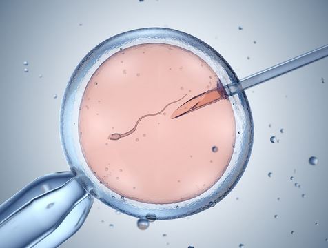 ivf