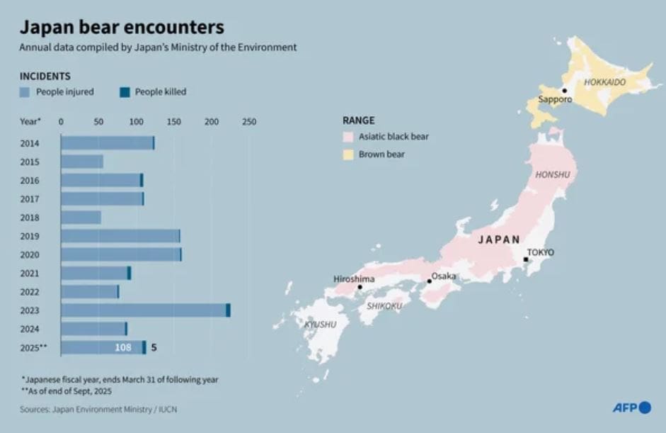 japan bear encounters