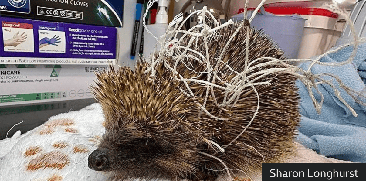 2B9A23C8 E153 4157 8B73 A7493B21D6D0