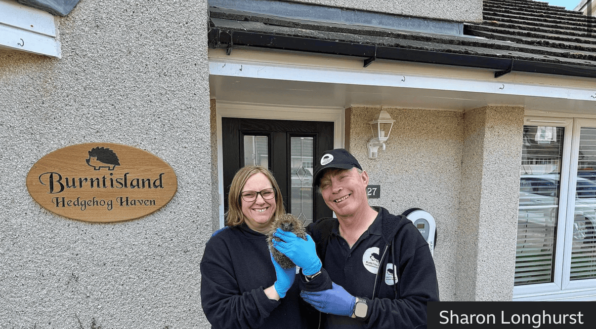 EBA79623 2517 456D 92B5 2DCBB859DEA5