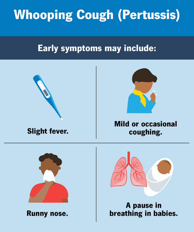 pertussis early symptoms