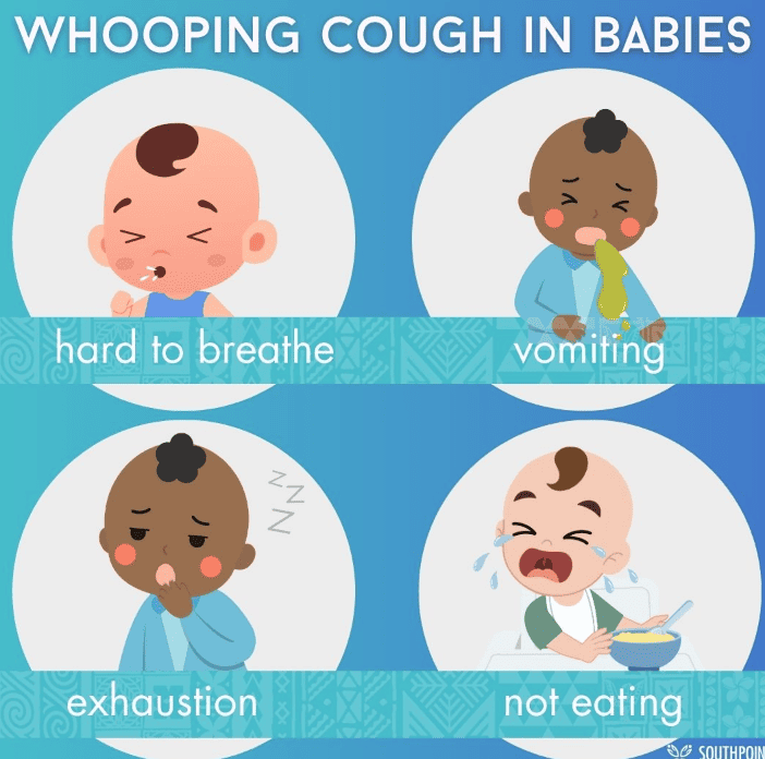whooping cough babies