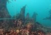 Massive Undersea Wall From 5000 BC Discovered In France