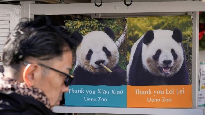 xiao xiao and lei lei 2