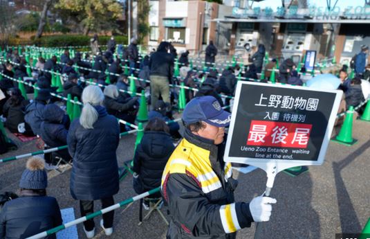 xiao xiao and lei lei line