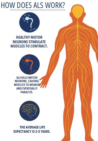 ALS