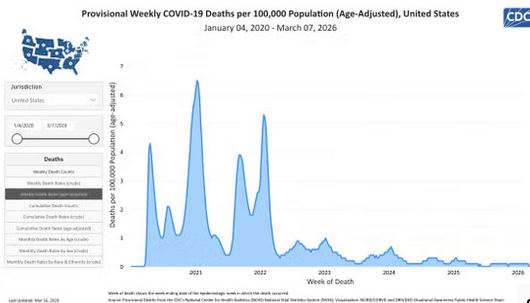 covid death rates