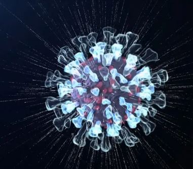 covid spike proteins