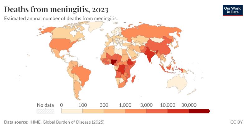 meningitis deaths