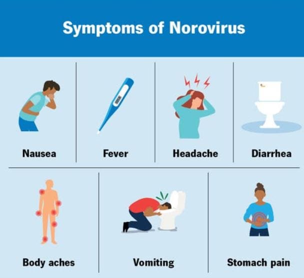 norovirus
