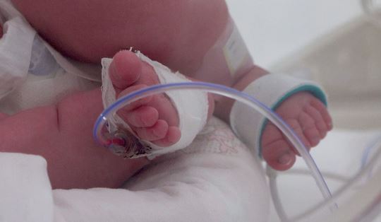 plastic-chemicals-newborn-deaths