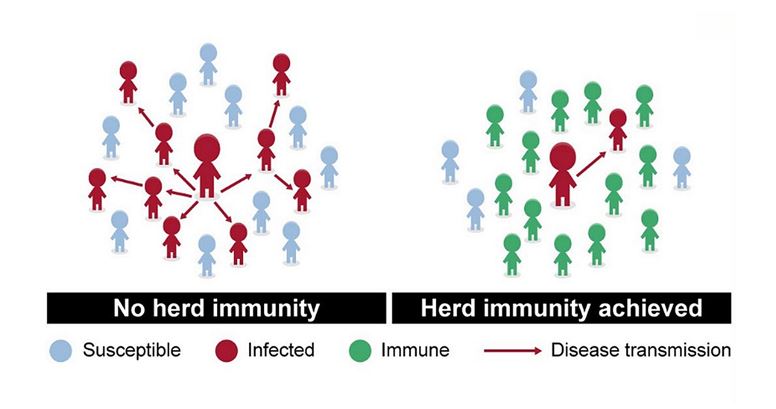 herd immunity
