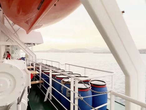 cruise ship hantavirus