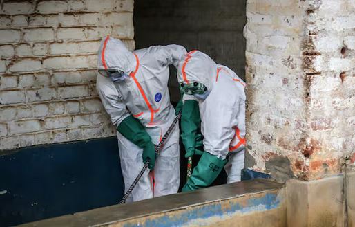 ebola