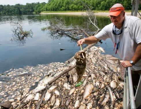 fish killed after chemical tank rupture