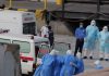 KLM Flight Attendant Hospitalized After Contact With Hantavirus-Infected Cruise Passenger