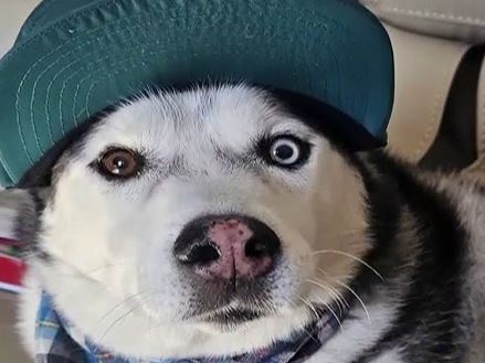 maverick