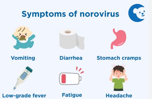 norovirus symptoms