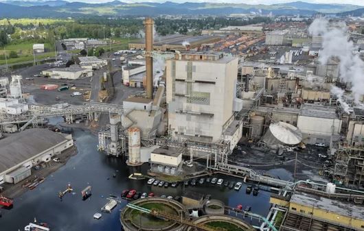 paper mill implosion 2