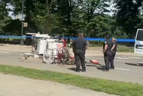 horse drawn carriage incident