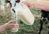 Nearly 60 People Sick After Drinking Raw Milk In Idaho
