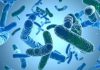 Fifth Person Dies In New York City’s Legionnaires’ Disease Outbreak