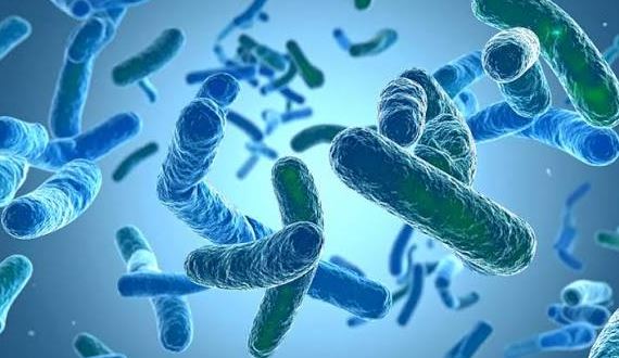 fifth-death-in-legionnaires-disease-outbreak