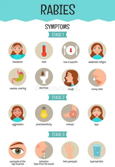 rabies symptoms