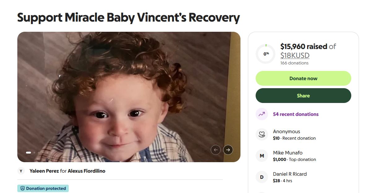 vincent gofundme