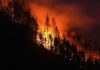 B.C. Wildfire Near Vernon Forces Thousands to Evacuate Despite Holding Size
