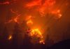 British Columbia Wildfires Forces 20,000 to Evacuate